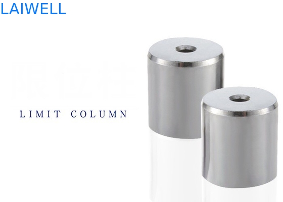 Customized Tolerance Stainless Steel Cylindrical Pin Die Brace Head Non-Standard Wear-Resistant Mold Limit Colum